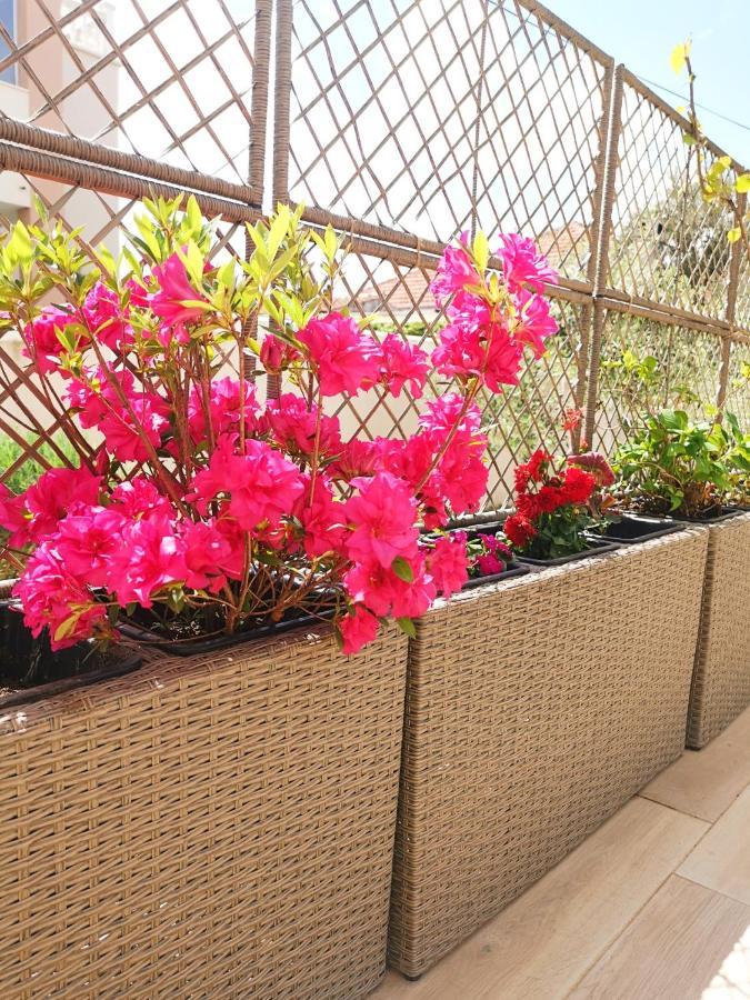 ורסי Apartments Leticia מראה חיצוני תמונה